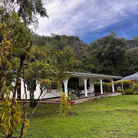 Tiki Lodge Hiva Oa Atuona Exteriör bild
